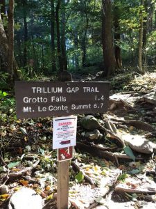 Grotto Fallsトレッキングコース