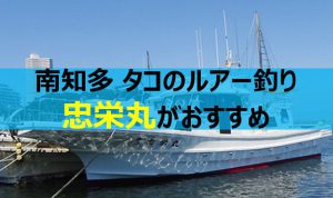 愛知県の忠栄丸でタコ釣って刺身・天ぷら三昧！おすすめの釣り船