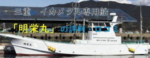 三重県「明栄丸」の評判はイカメタル専用船